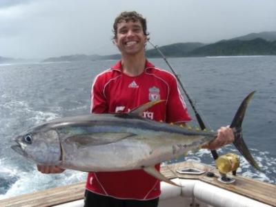 Yellowfin in Fiji
